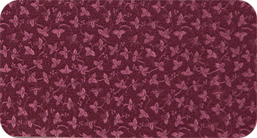 MAYA 570