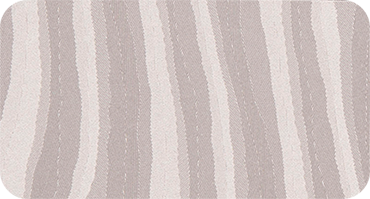 ZEBRA 200