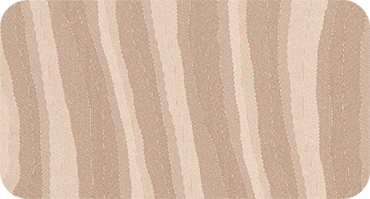 ZEBRA 333