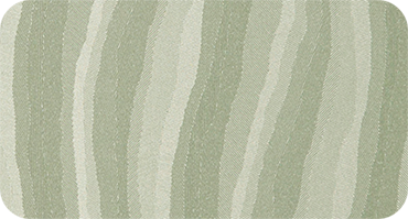 ZEBRA 740