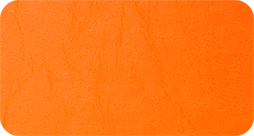 AGORA 460