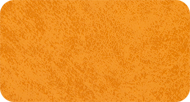 ARIZONA 330