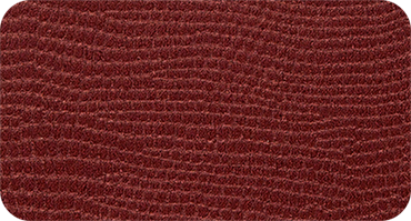 LEZAR 520