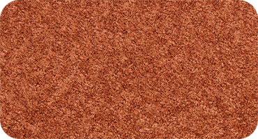 PETRA 450