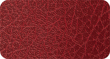 VERANDA 590
