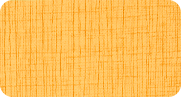 LINEA 3100