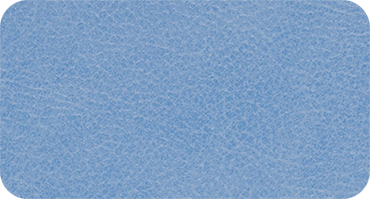 SABENA 610