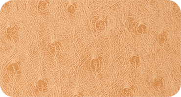 SAVANA 305