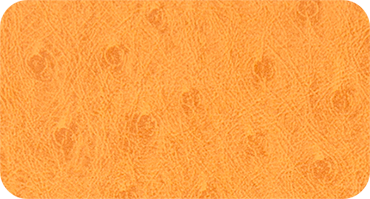 SAVANA 315
